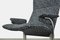 Vintage Modern DS2030 Lounge Chair by Hans Eichenberger for De Sede, 1970s, Image 8