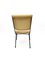 DU 24 Chairs by Gastone Rinaldi for Rhyme, 1956, Set of 2 13