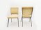 DU 24 Chairs by Gastone Rinaldi for Rhyme, 1956, Set of 2 5