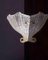 Wandleuchte aus transparentem Muranoglas, Mitte des 20. Jahrhunderts 2