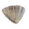 Sconce in Transparent Murano Glass, Mid 20th Century 6