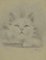 Augusto Monari, The Kitten, Drawing in Pencil, Early 20th Century 1