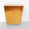 Vintage Schrank, 1960er 19