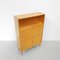 Vintage Schrank, 1960er 21