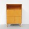 Vintage Cabinet, 1960s 12