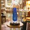 Tall Antique Specimen Dome, English, Glass, Taxidermy, Display Case, Victorian, 1880 3