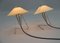 Table Lamps attributed to Frantova for Okolo, Czechoslovakia, 1950s 2