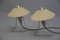 Lampes de Bureau attribuées à Frantova pour Okolo, Tchécoslovaquie, 1950s 7