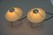 Lampes de Bureau attribuées à Frantova pour Okolo, Tchécoslovaquie, 1950s 4