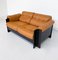 Mid-Century Modern Zelda Sofa attributed to Sergio Asti for Poltronova, 1960s 3