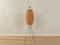 Tripod Rattan Floor Lamp, 1950s, Image 1