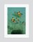 Toni Frissell, Snorkelling, 1956 / 2020s, C Print, Framed 1