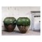 Large Antique Garden Jars, 1900s, Set of 2, Image 1