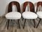 Dining Chairs by Antonin Suman, 1960s, Set of 4 23