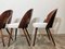 Dining Chairs by Antonin Suman, 1960s, Set of 4 3