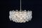Gilt Brass and Crystal Chandelier by Palwa, 1970s 9