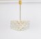 Gilt Brass and Crystal Chandelier by Palwa, 1970s 4