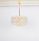Gilt Brass and Crystal Chandelier by Palwa, 1970s 6
