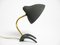 Small Mid-Century Modern Crows Foot Table Lamp by Louis Kalff, 1950s 2