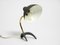 Small Mid-Century Modern Crows Foot Table Lamp by Louis Kalff, 1950s 3