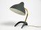 Small Mid-Century Modern Crows Foot Table Lamp by Louis Kalff, 1950s 1