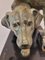 Clovis Masson, Perros de caza Art Déco, 1930, Bronce, Imagen 4