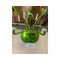 Green Murano Glass Chandelier with Trasparent Rostrato Boubeches from Simoeng 8