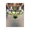 Green Murano Glass Chandelier with Trasparent Rostrato Boubeches from Simoeng 5