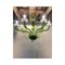 Green Murano Glass Chandelier with Trasparent Rostrato Boubeches from Simoeng, Image 5