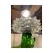 Green Murano Glass Chandelier with Trasparent Rostrato Boubeches from Simoeng 7