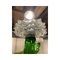 Green Murano Glass Chandelier with Trasparent Rostrato Boubeches from Simoeng, Image 7