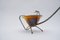 Austrian Brass Watering Can with Movable Spider, 1950s, Image 7