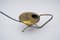Austrian Brass Watering Can with Movable Spider, 1950s, Image 8