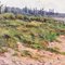Joseph Louis Lucien Belin, Landscape with River, 1930, Oil on Canvas, Framed 5