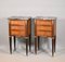 Louis XVI French Directoire Bedside Cabinets, 1890s, Set of 2 3