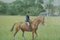 Desmond Walduck, Escena con caballo, años 80, Tinta y acuarela, Imagen 3