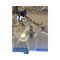 Lámpara de araña Sputnik Ca 'Rezzonico de cristal de Murano de Simoeng, Imagen 5