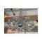 Ca Rezzonico Chandelier with Flowers and Leaves in Murano Glass by SimoEng, Image 7