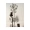 Lámpara de pared Rush y Crystal Flowers de Simoeng, Imagen 3