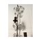 Rush & Crystal Flowers Wandlampe von Simoeng 3