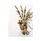 Goldene Florentiner Ohren Wandlampe aus Schmiedeeisen von Simoeng 4