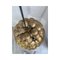 Lampada a sospensione fiorentina in ferro dorato di Simoeng, Immagine 5