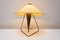 Lampe de Bureau Tripode Mid-Century, Tchéquie, attribuée à Helena Frantova pour Okolo, 1950 12