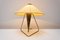 Mid-Century Czech Modern Tripod Desk Lamp attributed to Helena Frantova for Okolo, 1950 12