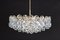 Gilt Brass Crystal Chandelier by Palwa, 1970s 4