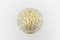 Heavy Golden Ice Glass Shell Wall Lamp from Limburg, 1960s 4