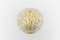 Schwere goldene Muschel Wandlampe aus Eisglas von Limburg, 1960er 4