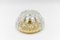 Schwere goldene Muschel Wandlampe aus Eisglas von Limburg, 1960er 5