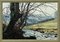 Arthur Terry Blamires, Árbol sobre un río en Yorkshire Dales, 1989, pintura al óleo, Enmarcado, Imagen 10