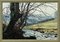 Arthur Terry Blamires, Tree over a River in Yorkshire Dales, 1989, Oil Painting, Framed 10